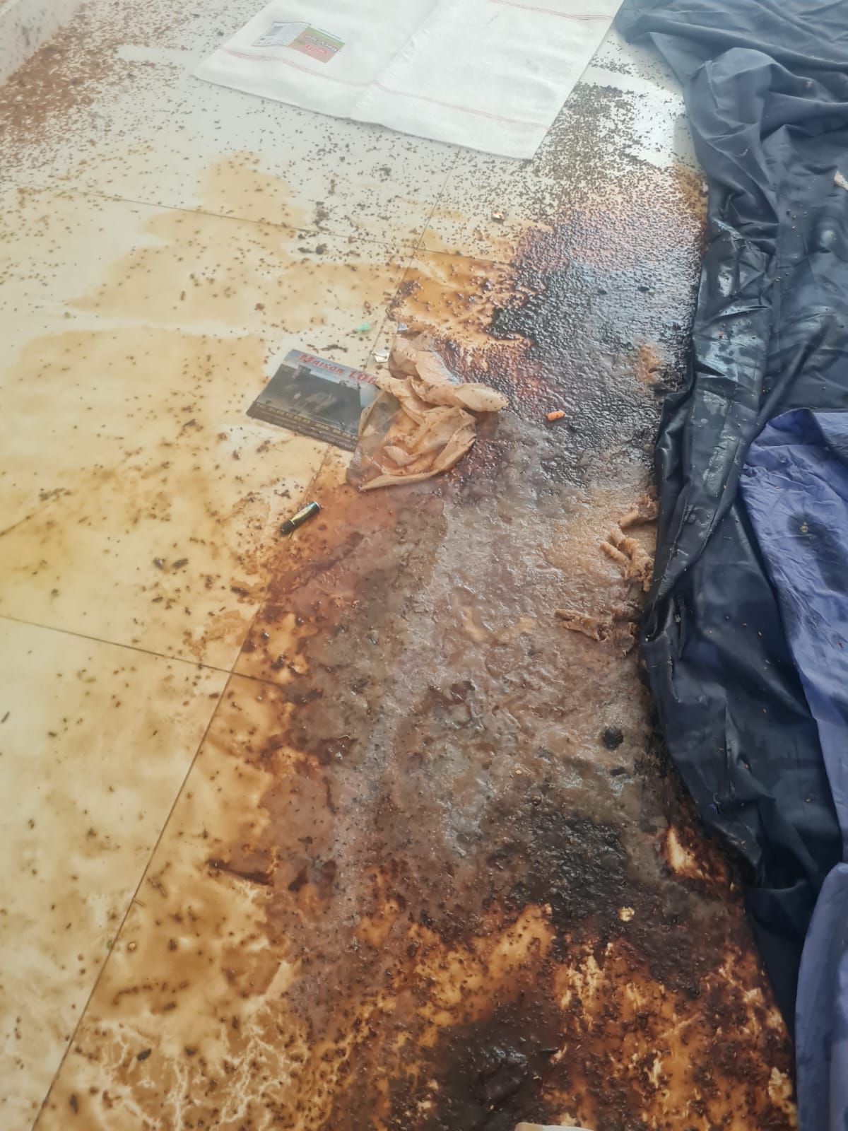 Faut-il prévoir un bilan médical obligatoire pour agents ? L’avis de SOS DC à Ivry-sur-Seine Faut-il prévoir un bilan médical obligatoire pour agents ? L’avis de SOS DC à Ivry-sur-Seine